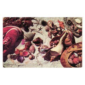 At The End Of A Shell Collectors Rainbow Postcard 1955 Ocean Beach Theme Vintage